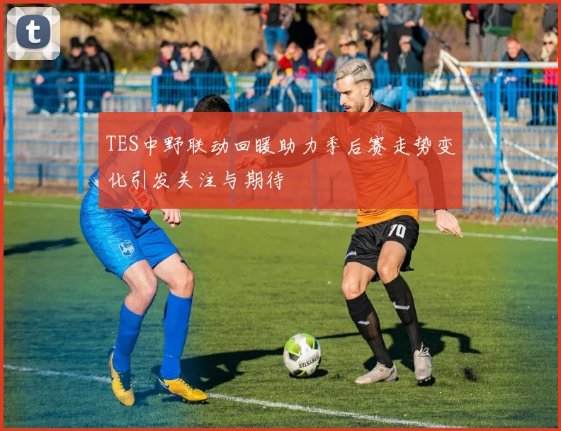 TES中野联动回暖助力季后赛走势变化引发关注与期待